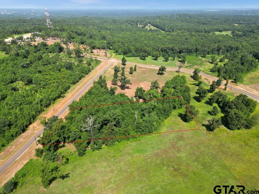 a view of a city with lush green forest