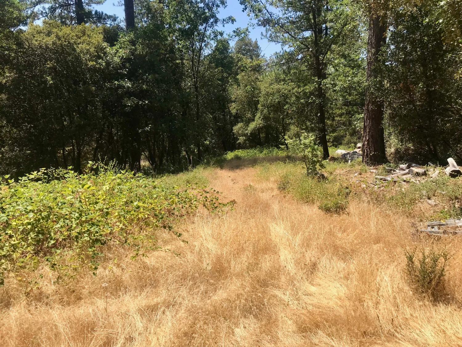 a view of a backyard of the house