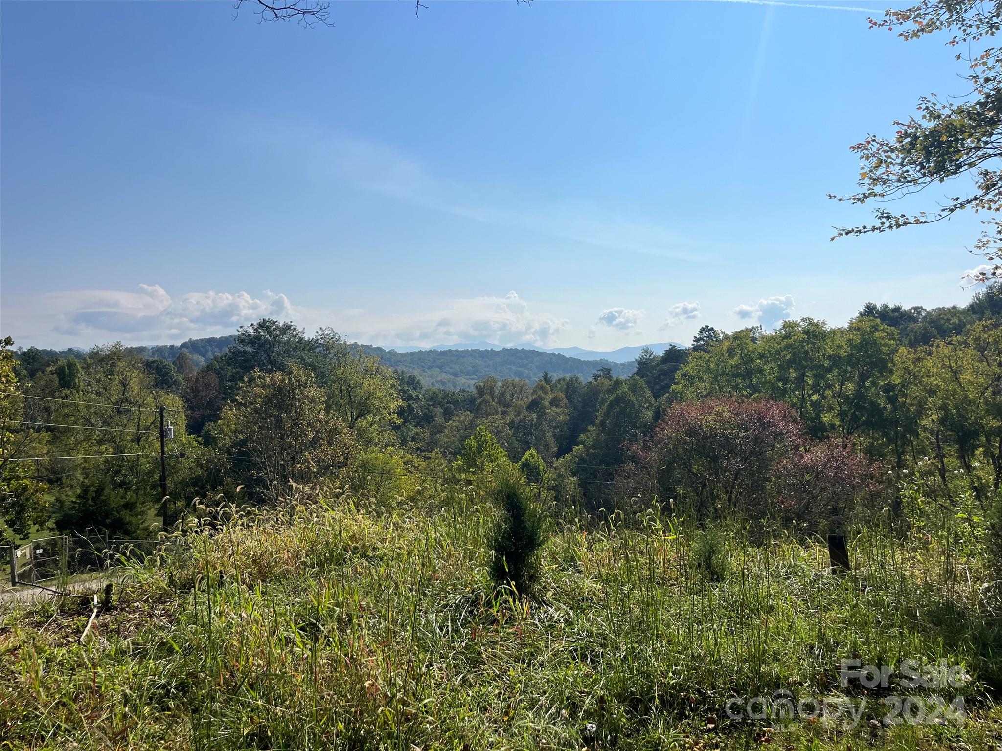 a view of a green field with lots of bushes