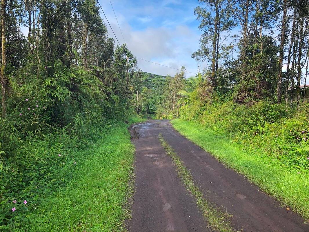 Looking down Shell, away from Kehau Rd, from left boundary of lot