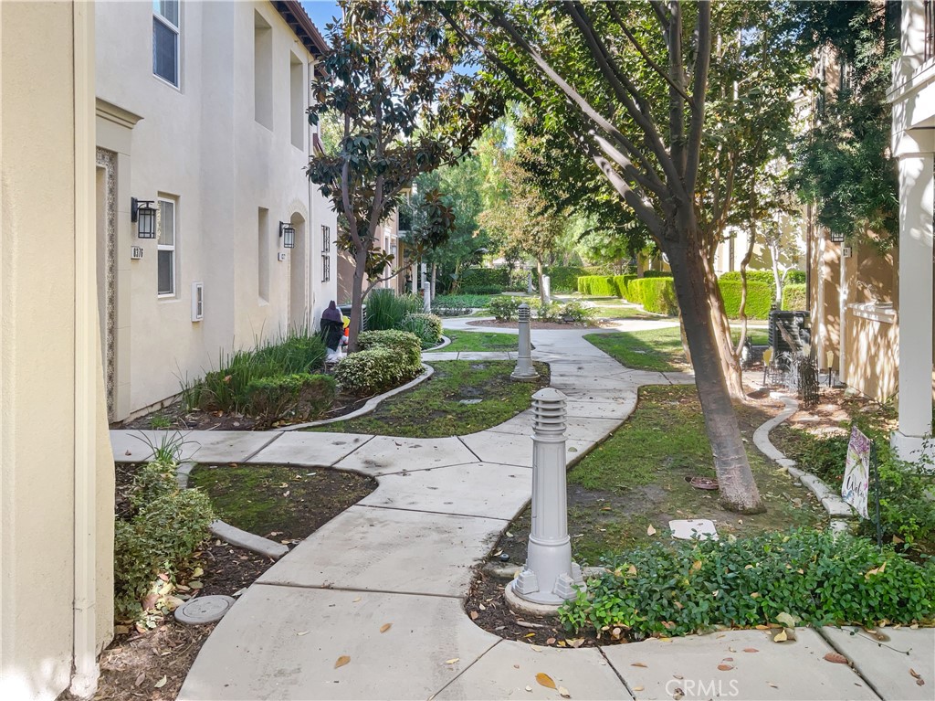 a view of a garden with trees