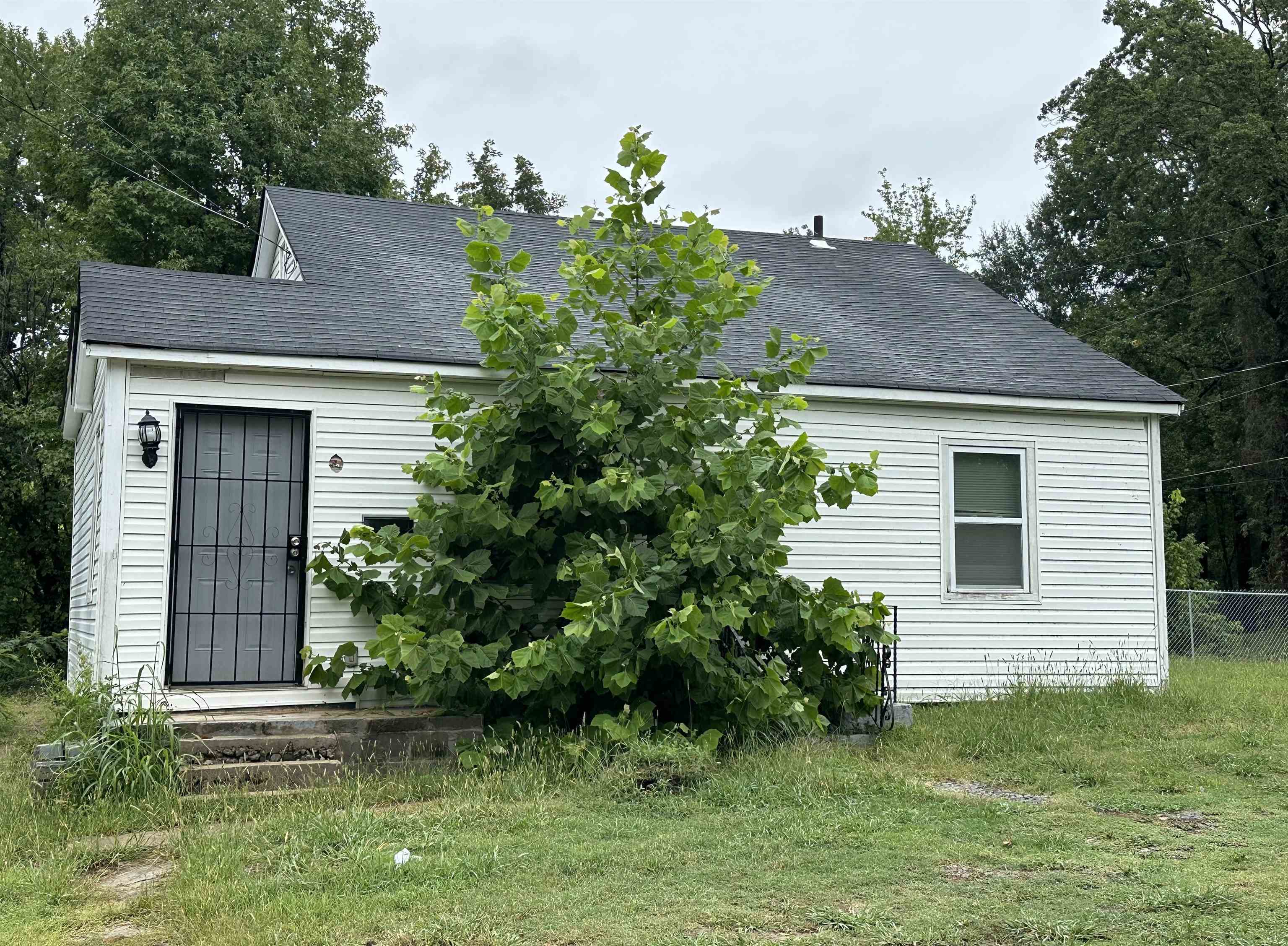 a house that has a tree in front of the house