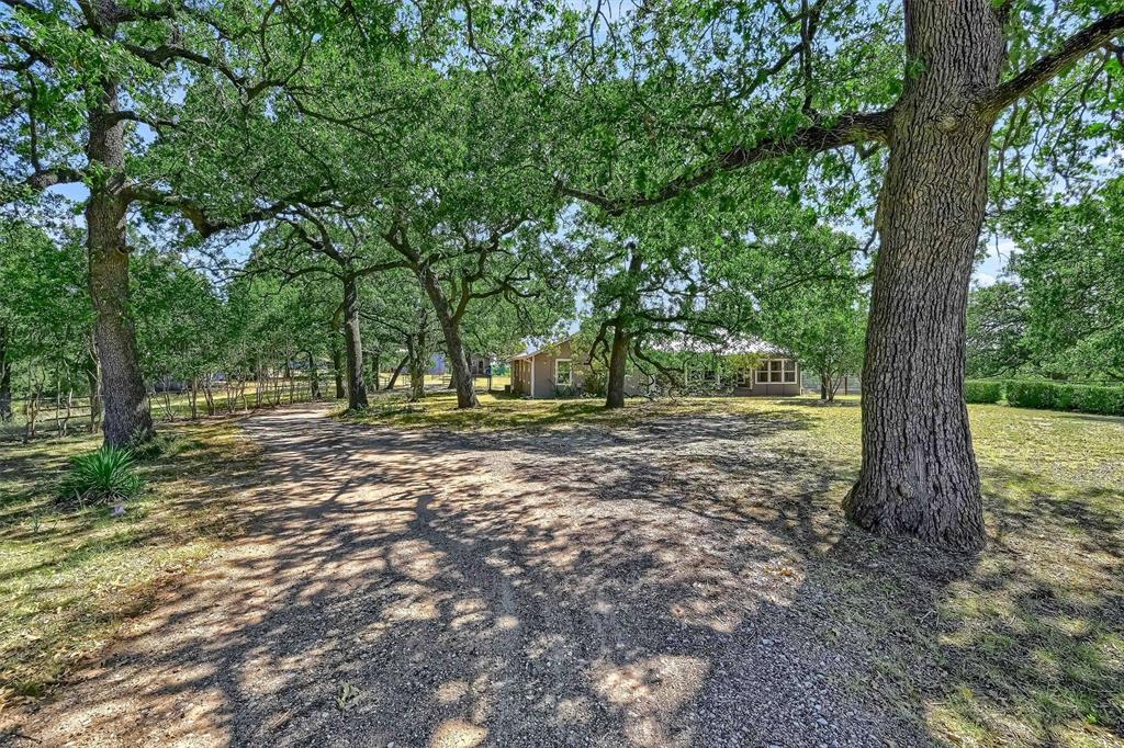 a view of outdoor space with trees