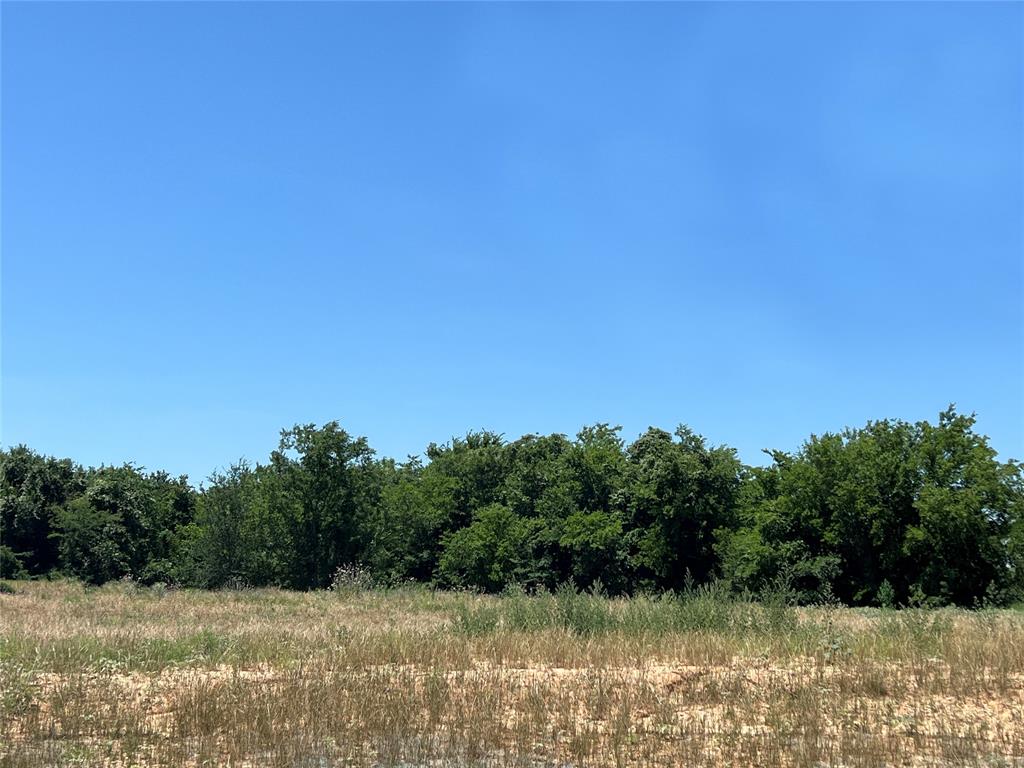 a view of lake with green space