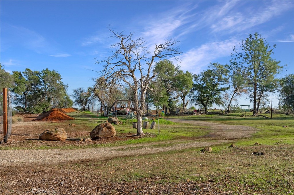 a view of dirt yard with large trees