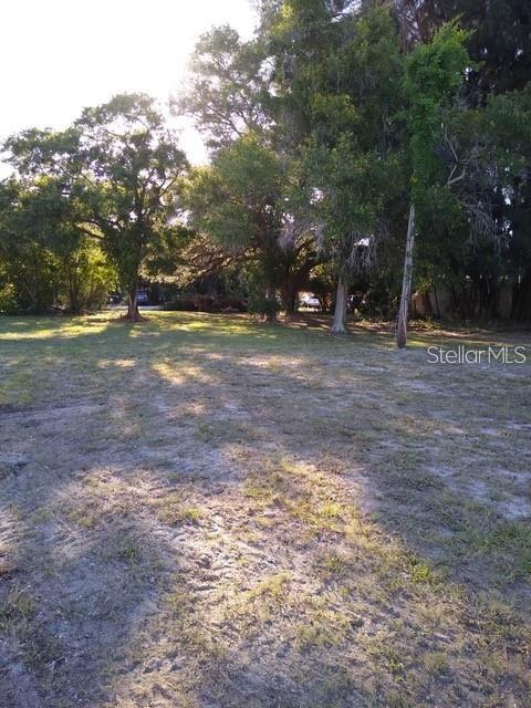 a view of a yard with trees