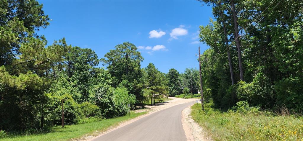 a view of a pathway both side of grassy field with trees