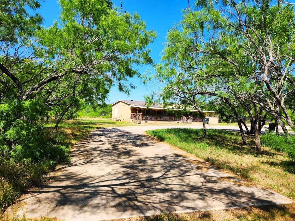 a view of a yard with plants and trees