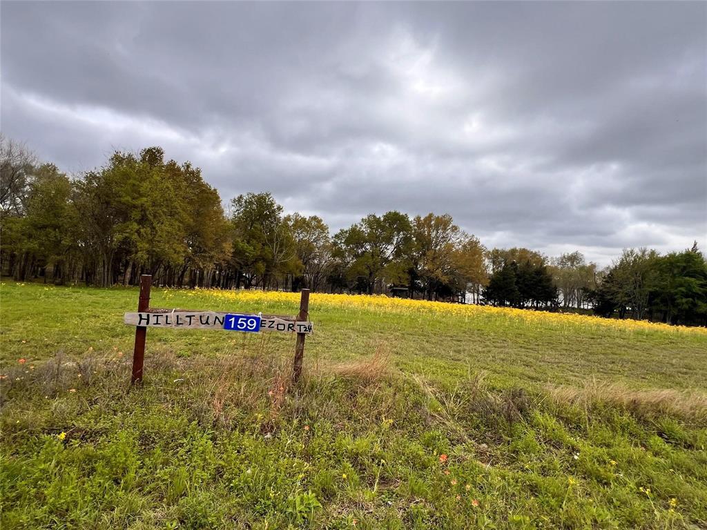 a view of a field with clear sky