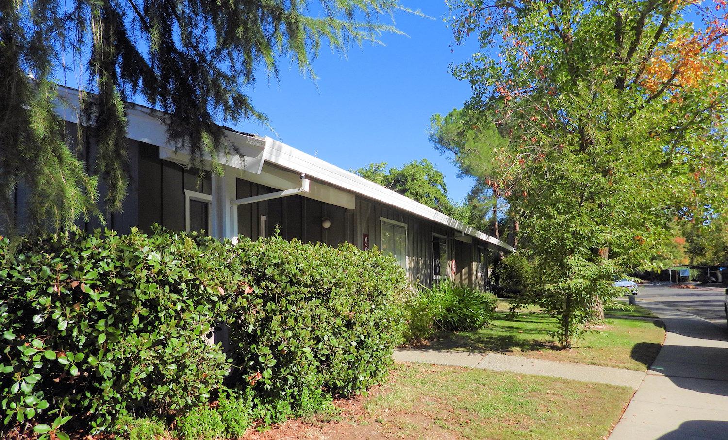 a view of a back yard