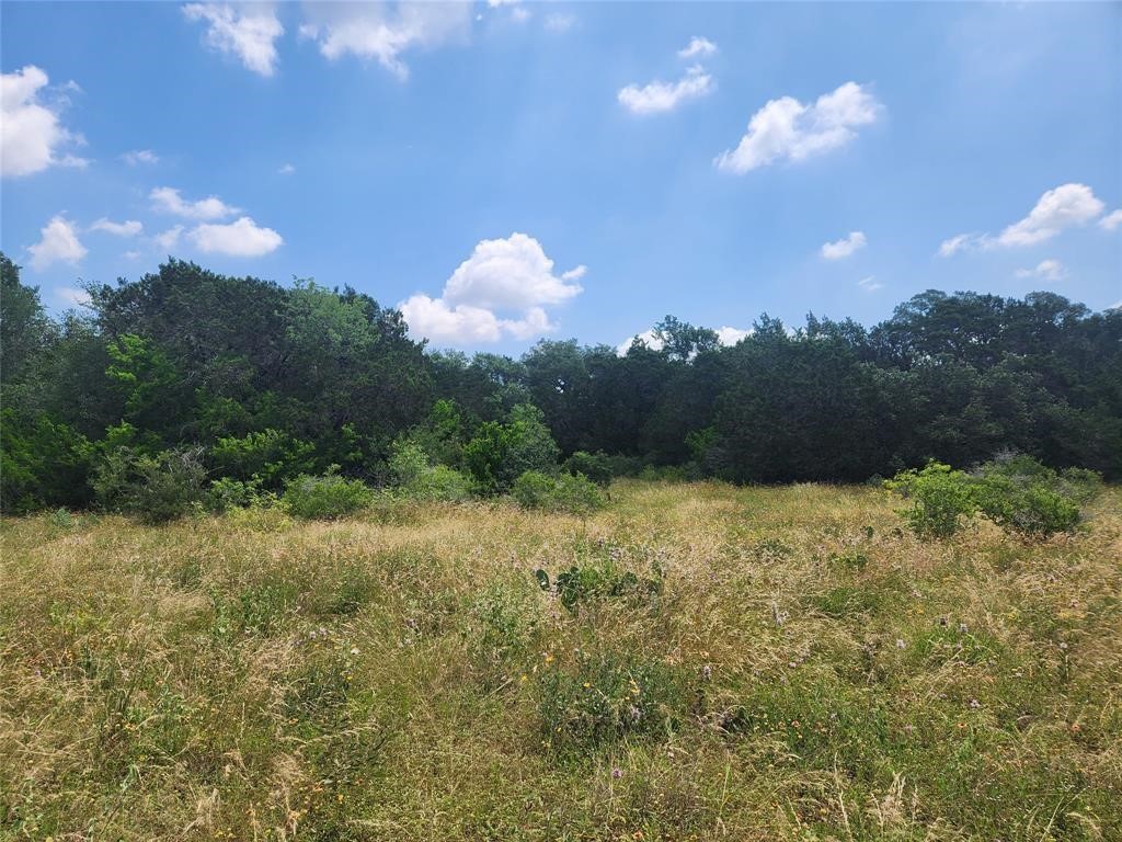 a view of a bunch of trees in a field