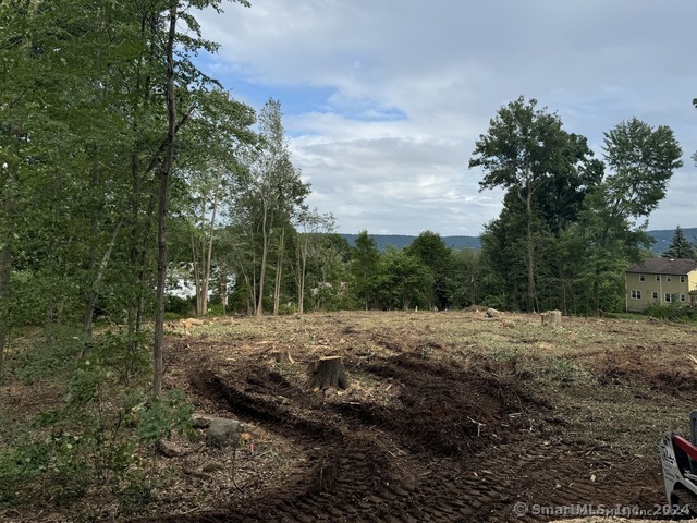 a view of a dirt road with trees