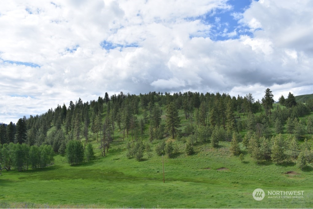 a view of a green field with lots of trees