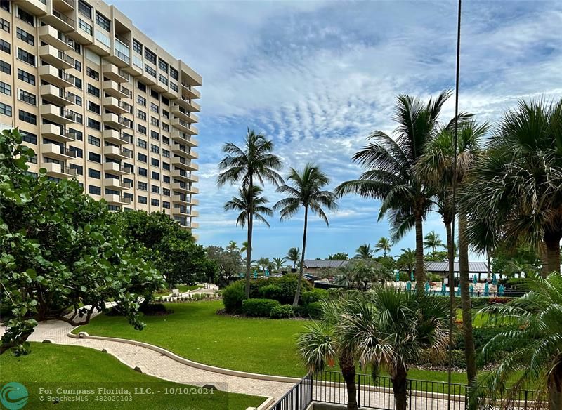 a view of a yard with a palm trees