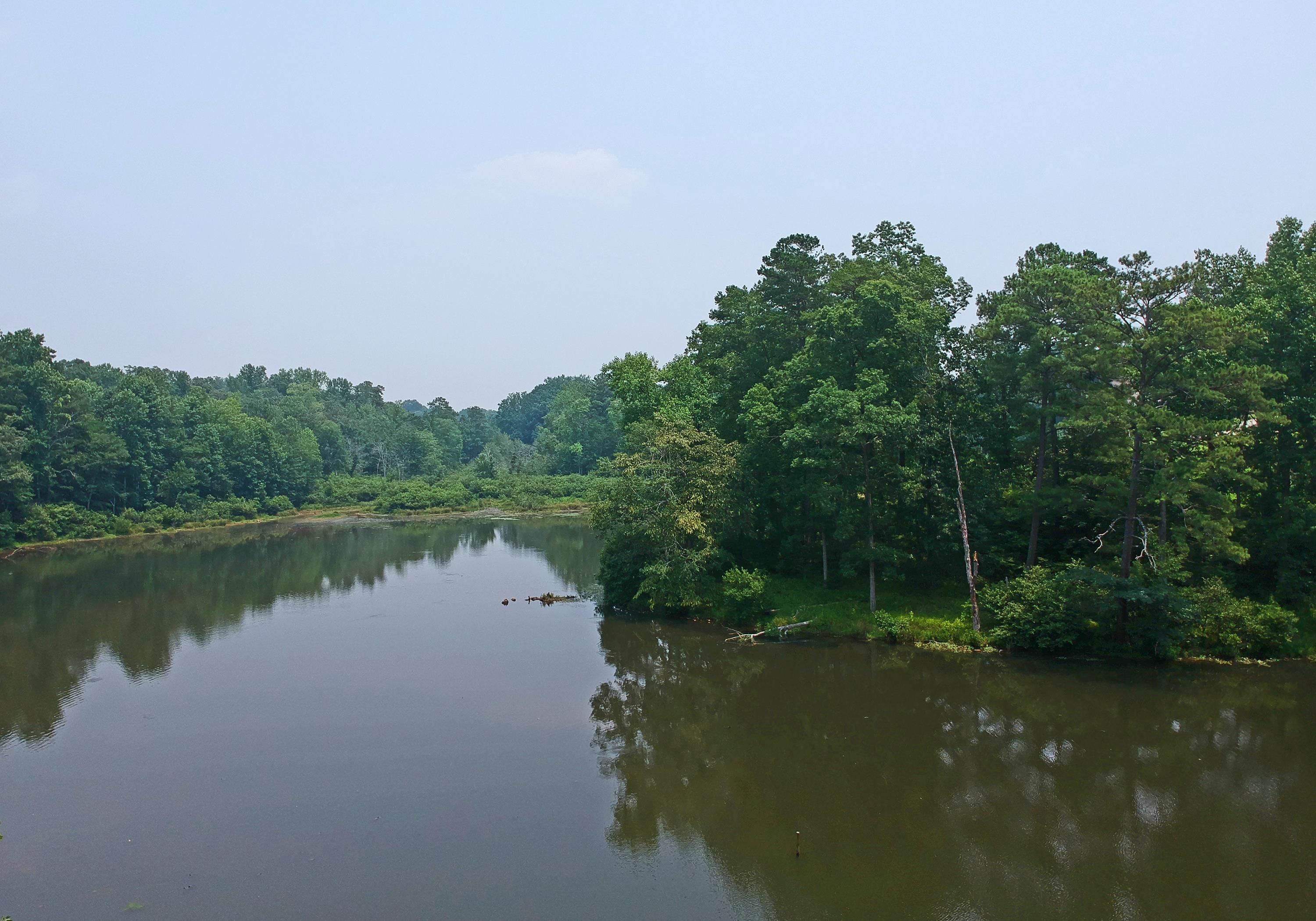 a view of a lake in middle of forest