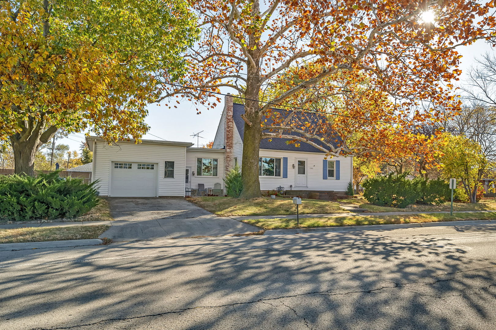 a view of a house with a large tree in front of it