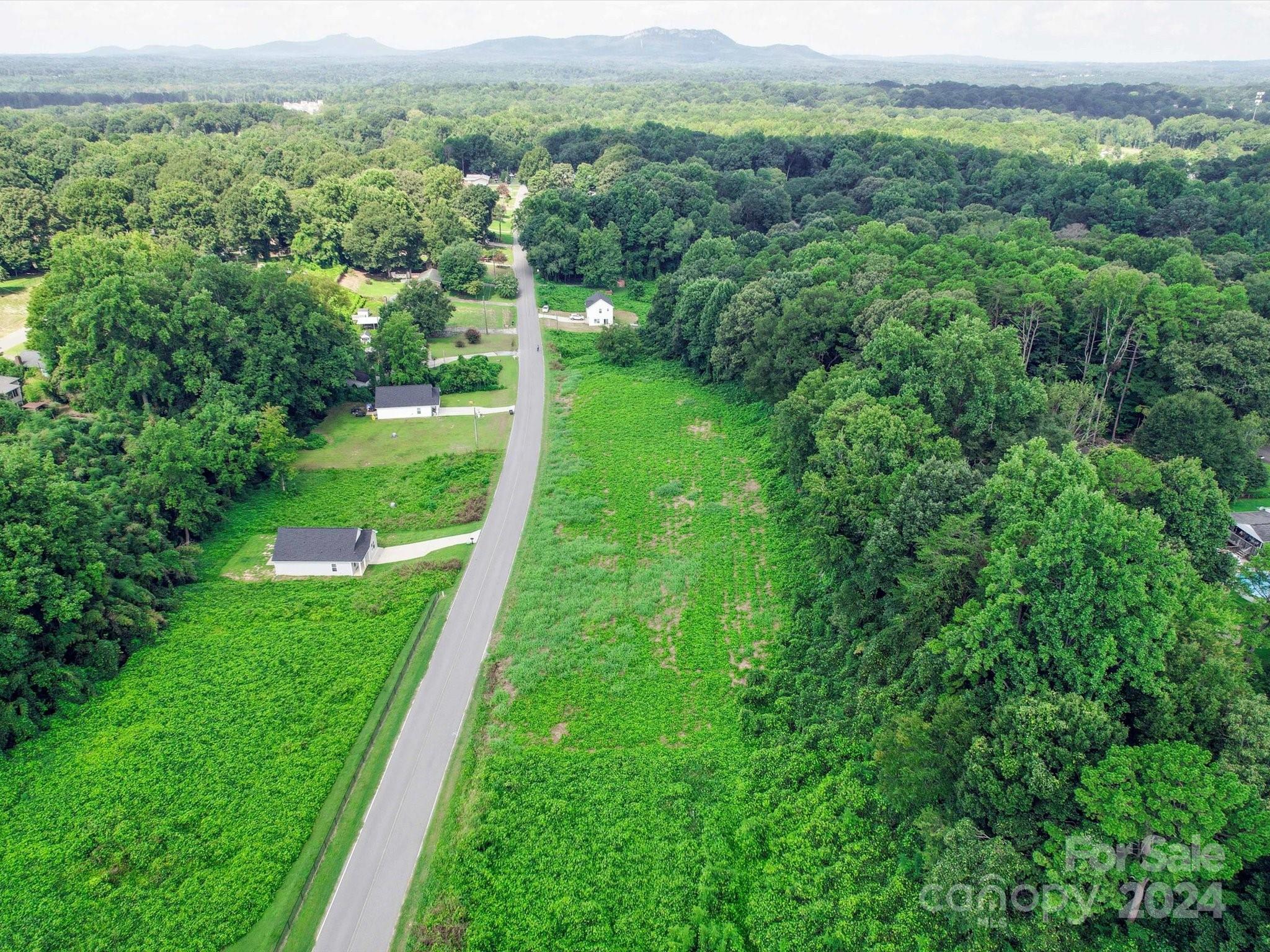 a view of a lush green forest with trees and some houses