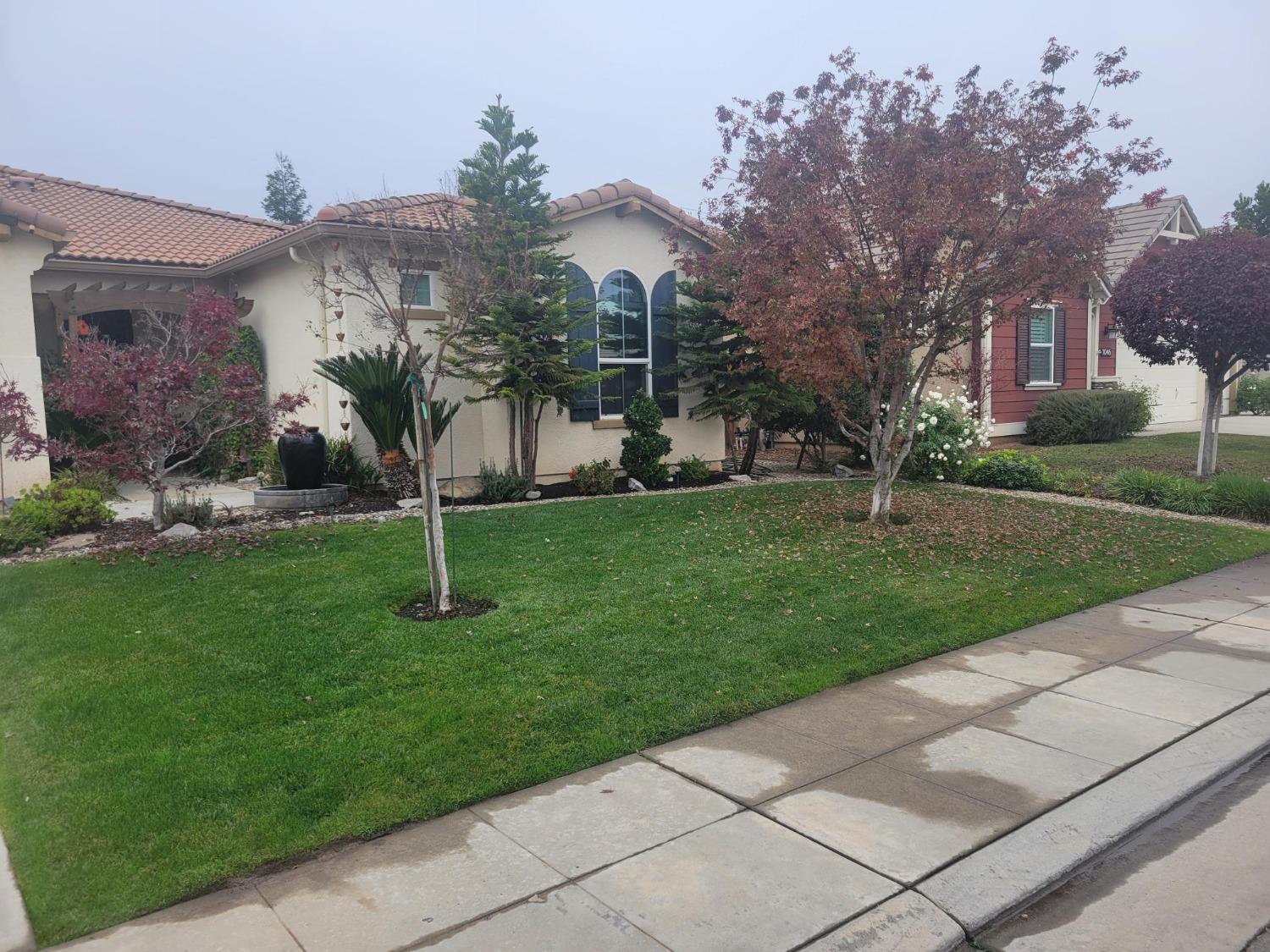 a front view of a house with a yard