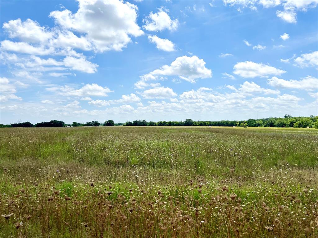 a view of a lake from a yard