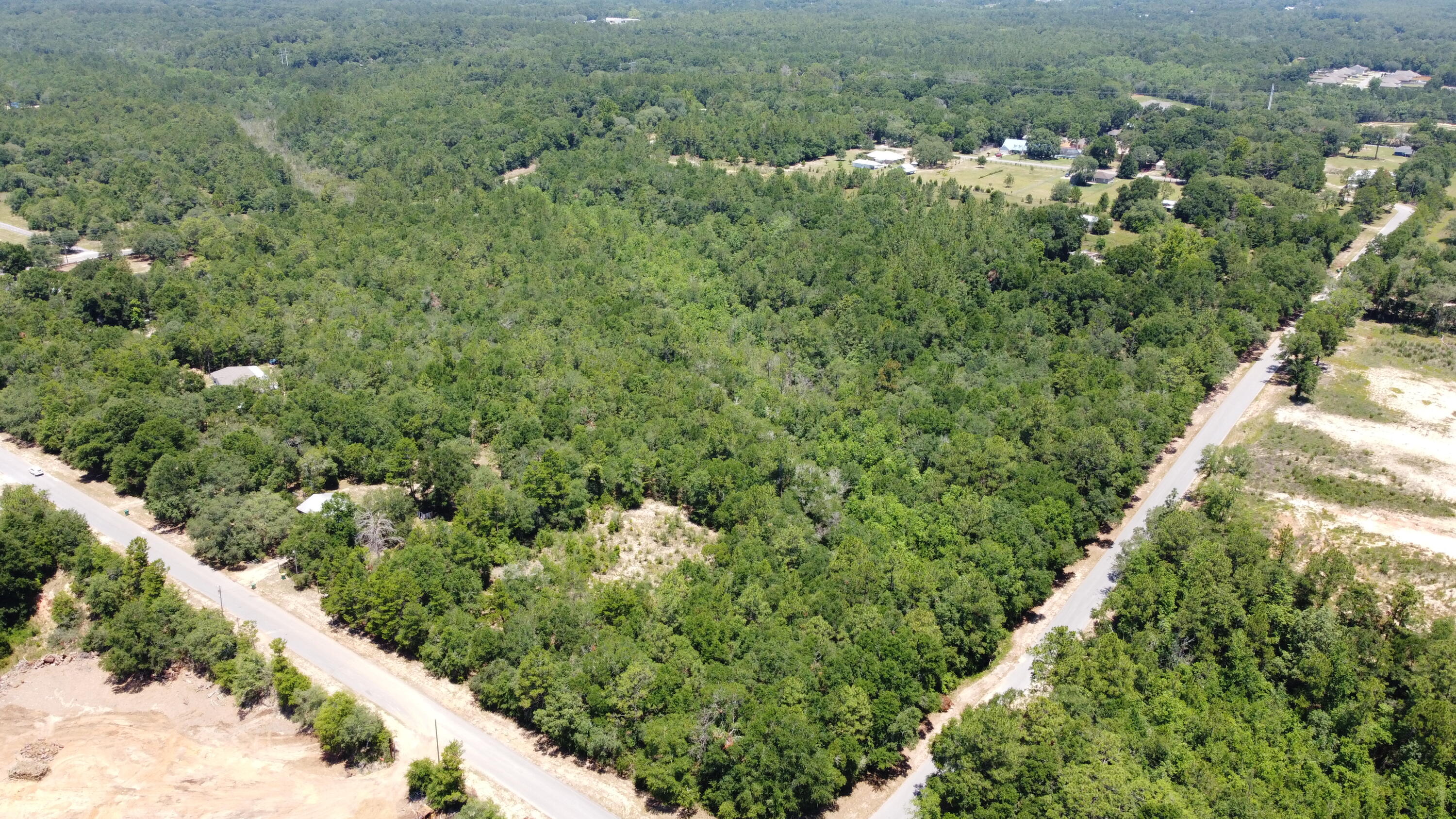 a view of a forest with a houses