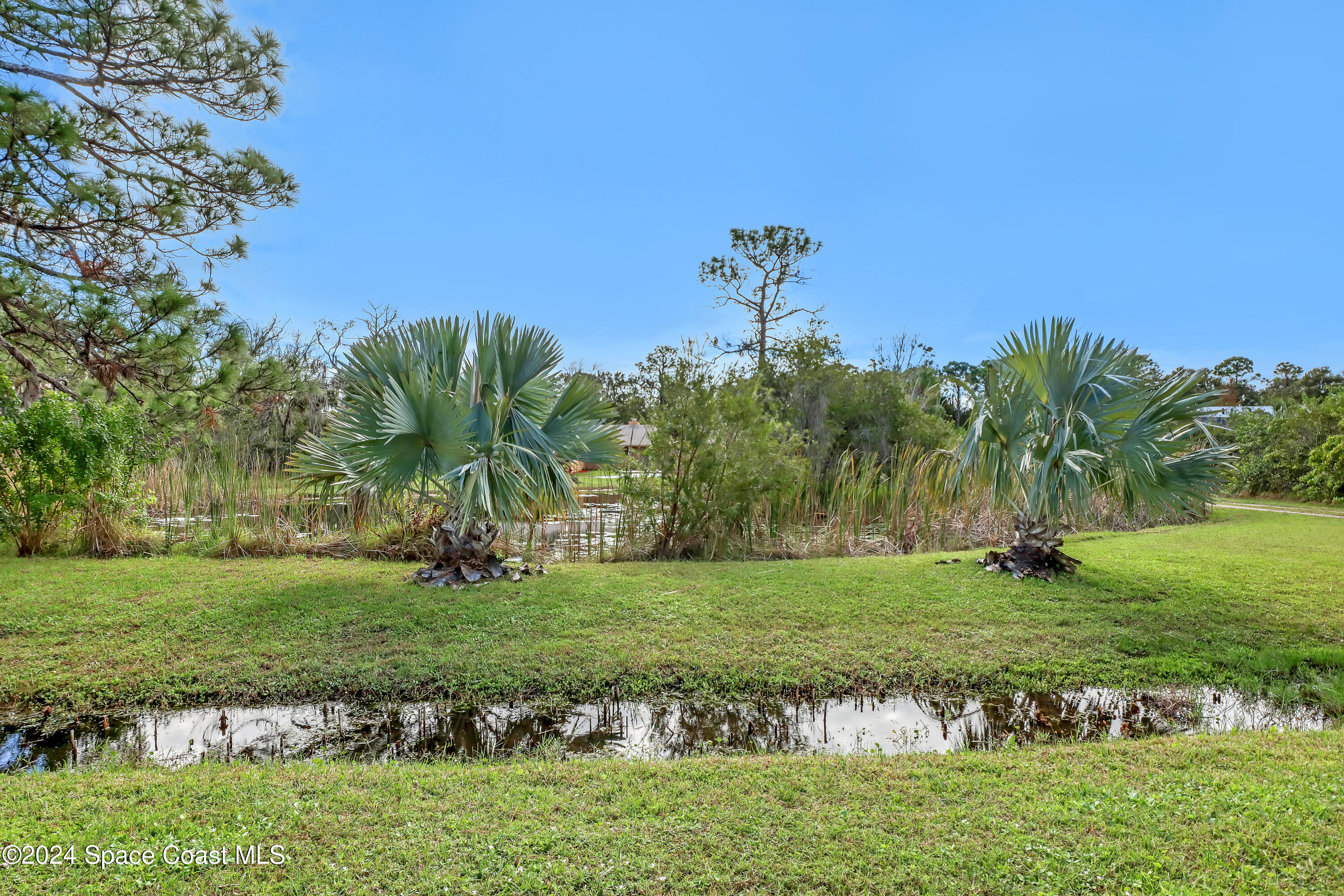 Pond View from the Road