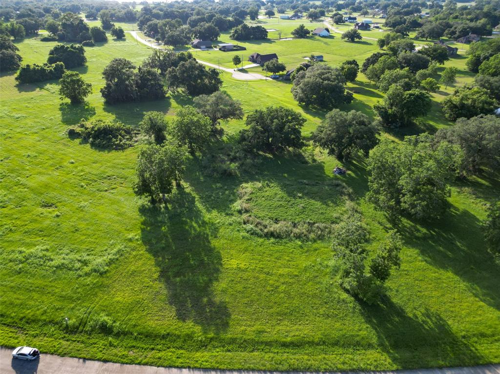 a view of a garden