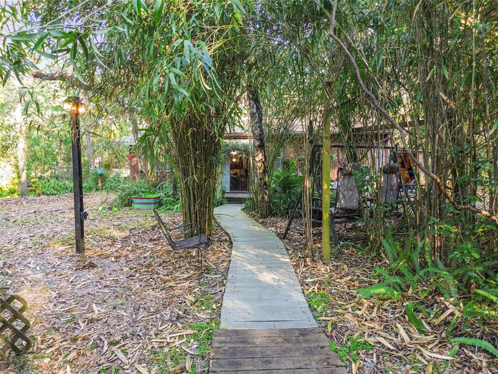 a view of a pathway with a tree