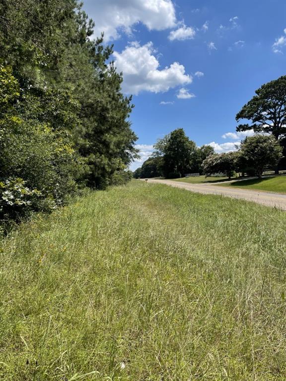 a view of a field with an trees in the background