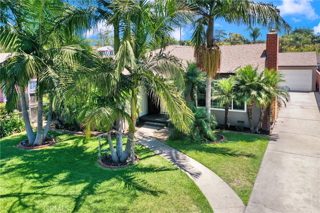 a garden with palm trees