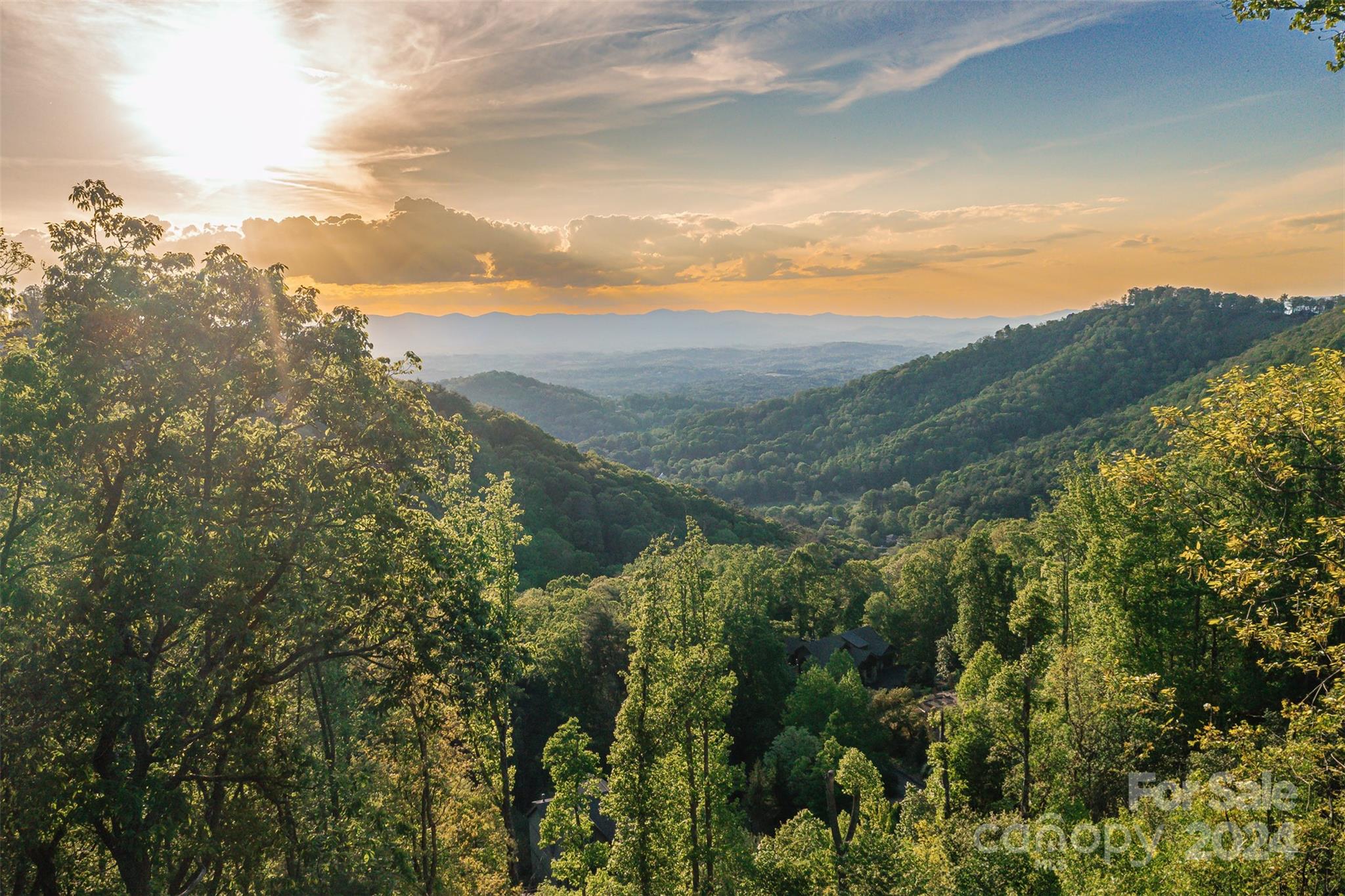 a view of a forest with mountains