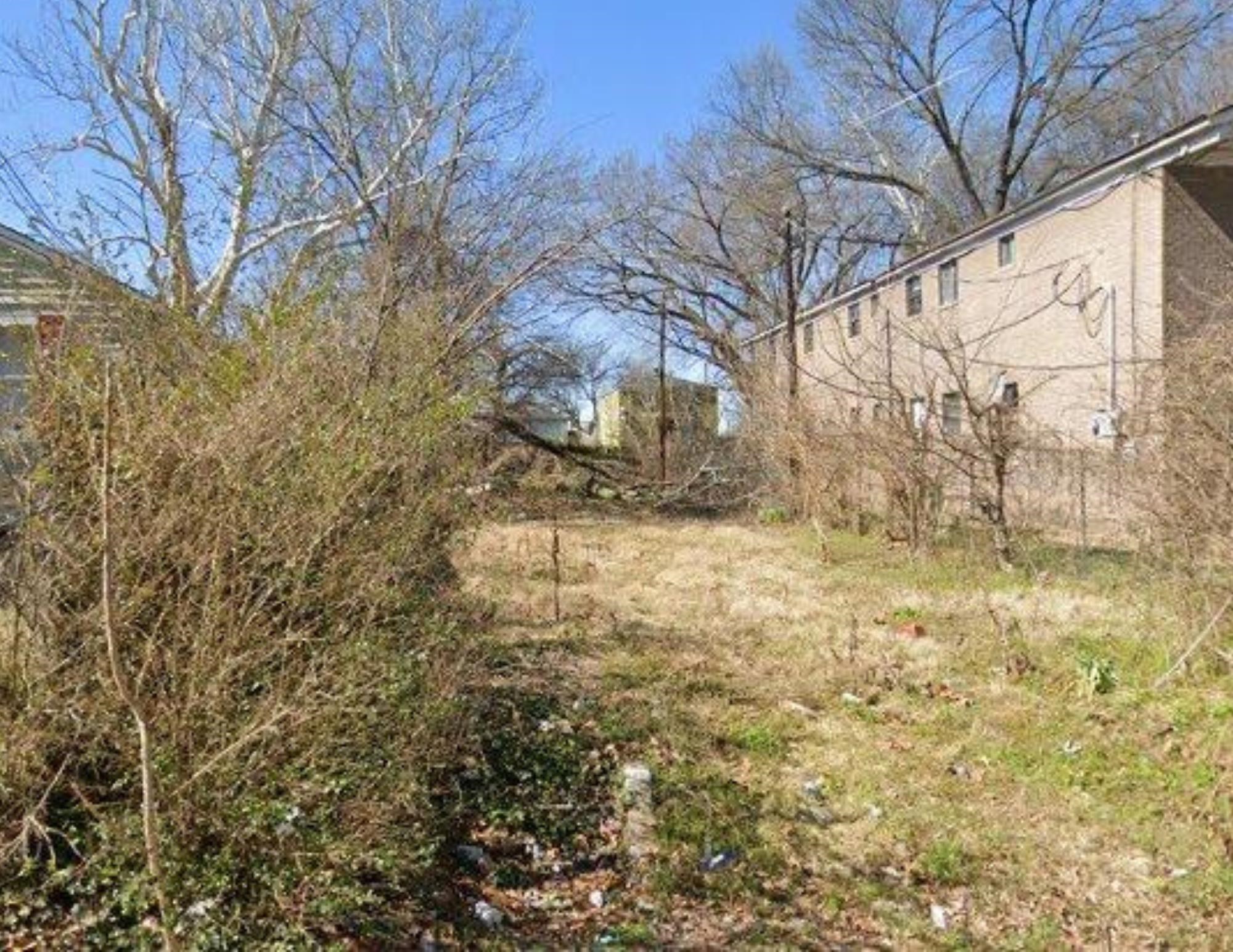 a view of a yard with some trees