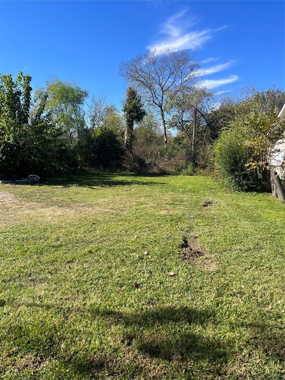 a view of a yard with a house in the background