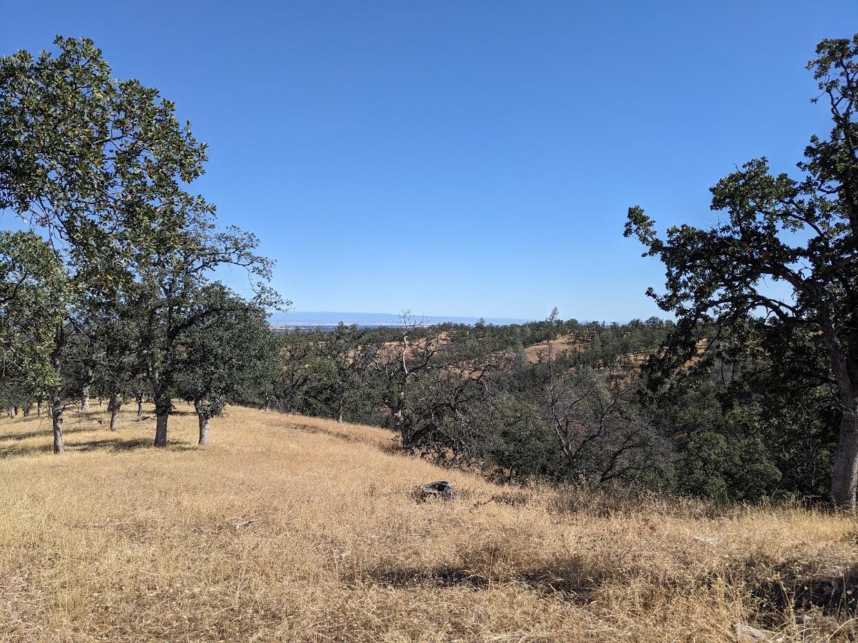 a view of outdoor space with trees