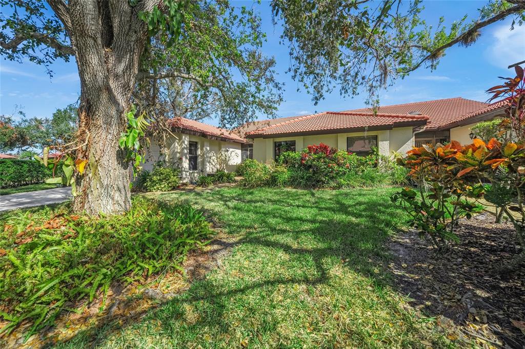 a view of a house with a tree in a yard