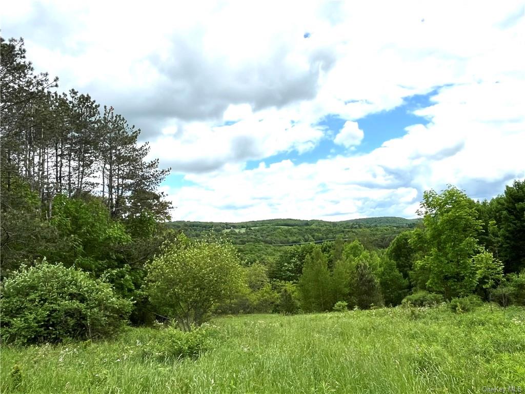 a view of a green field with lots of trees