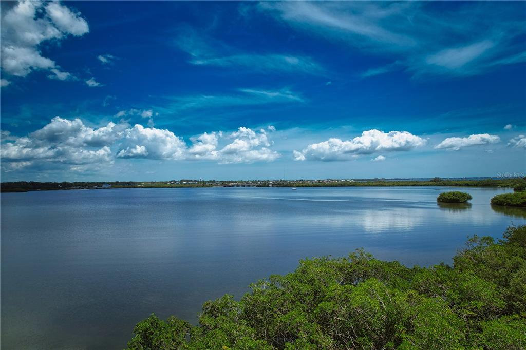 a view of a lake from a yard