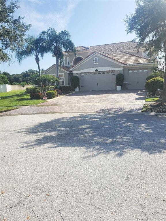 a view of a house with a yard and a large tree