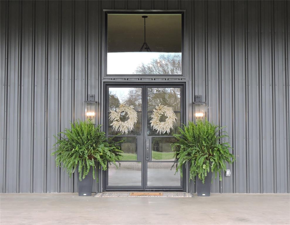 a potted plant sitting in front of a door