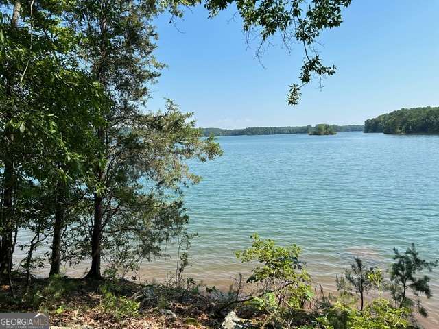 a view of a lake from a yard