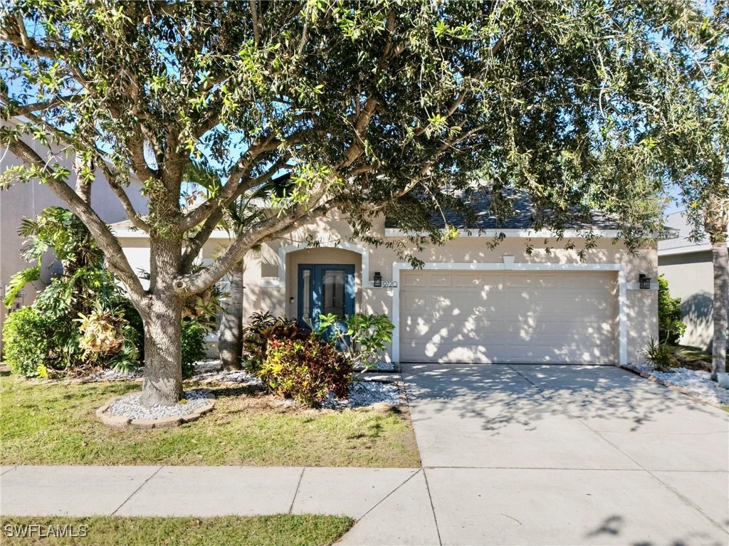 front view of a house with a tree