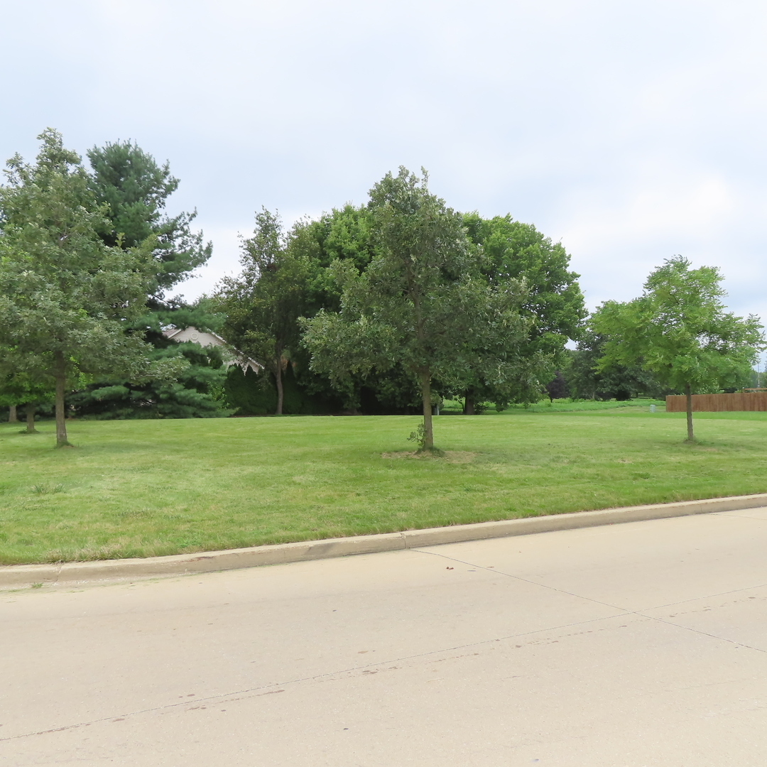 a view of a park