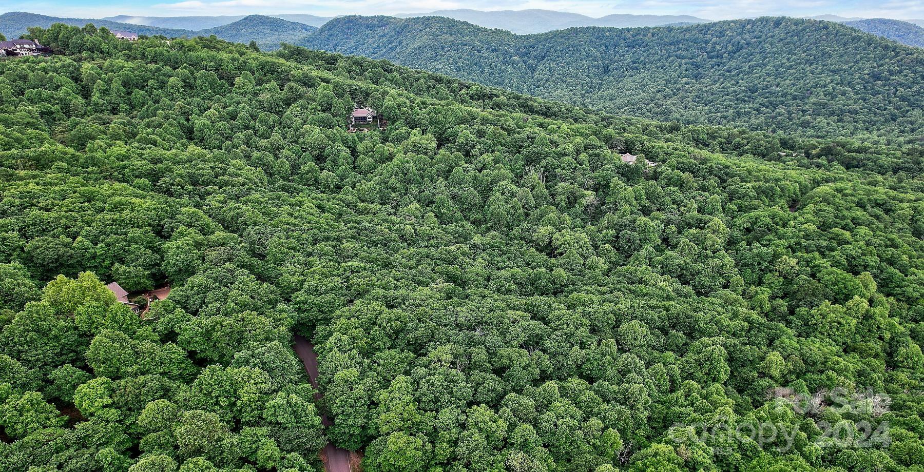 a view of a lush green forest with trees and some houses