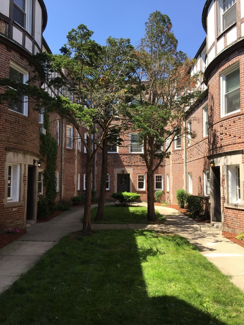 a tree in front of a brick building with large trees