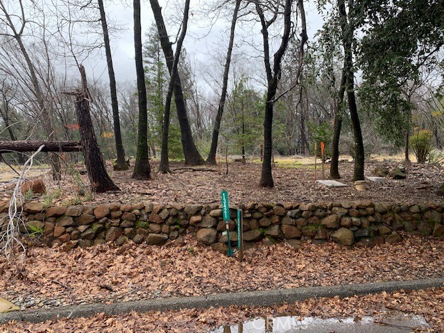 a view of a backyard with large trees