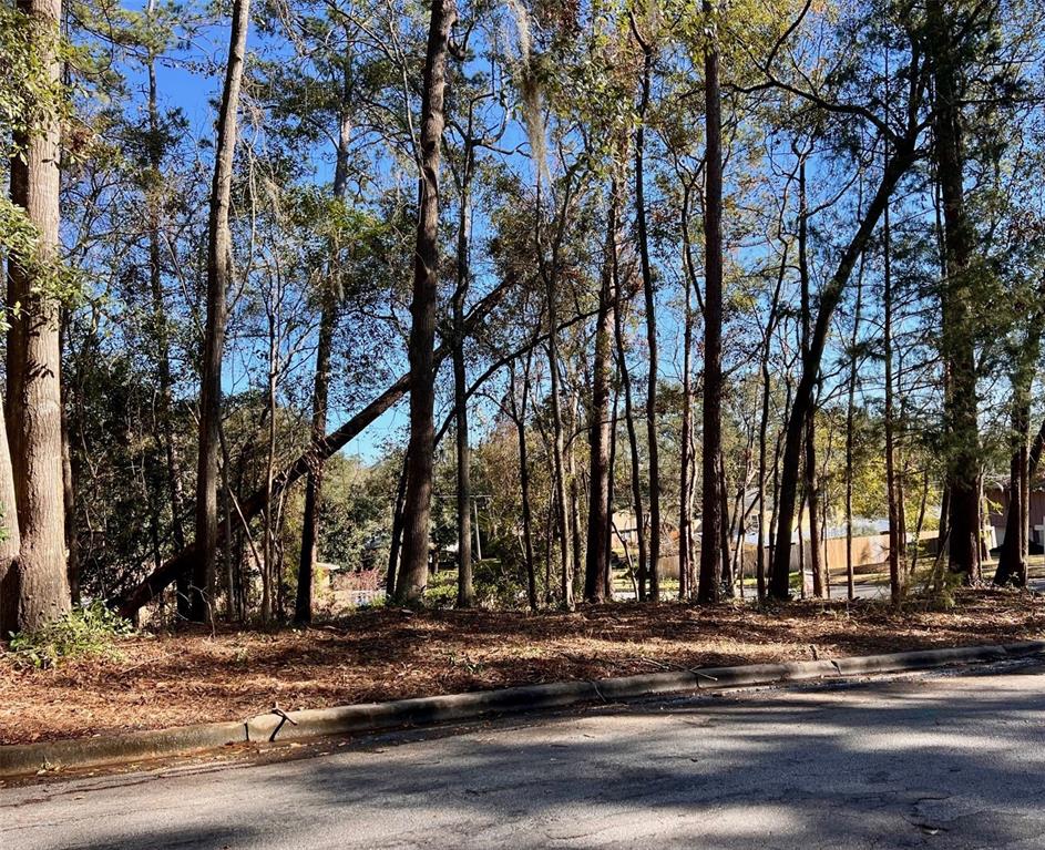 a view of street with trees