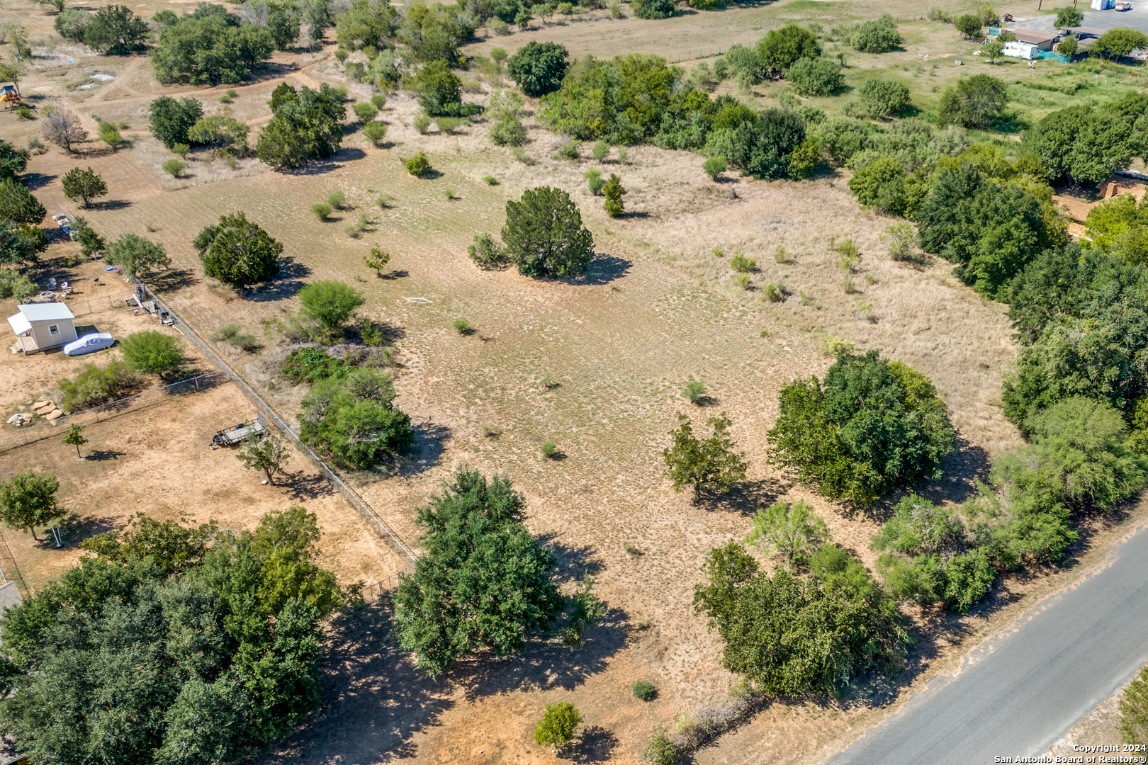 a view of a dry yard covered with trees