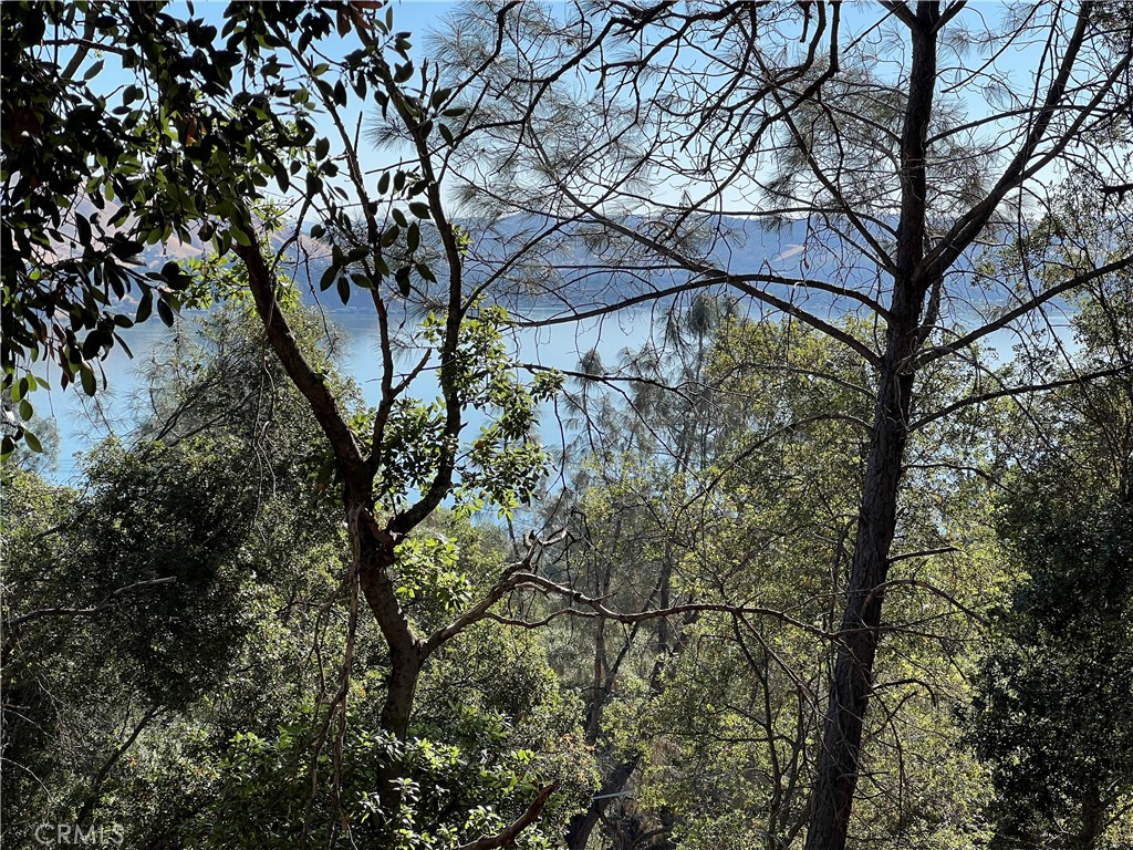 a backyard of a house with lots of trees