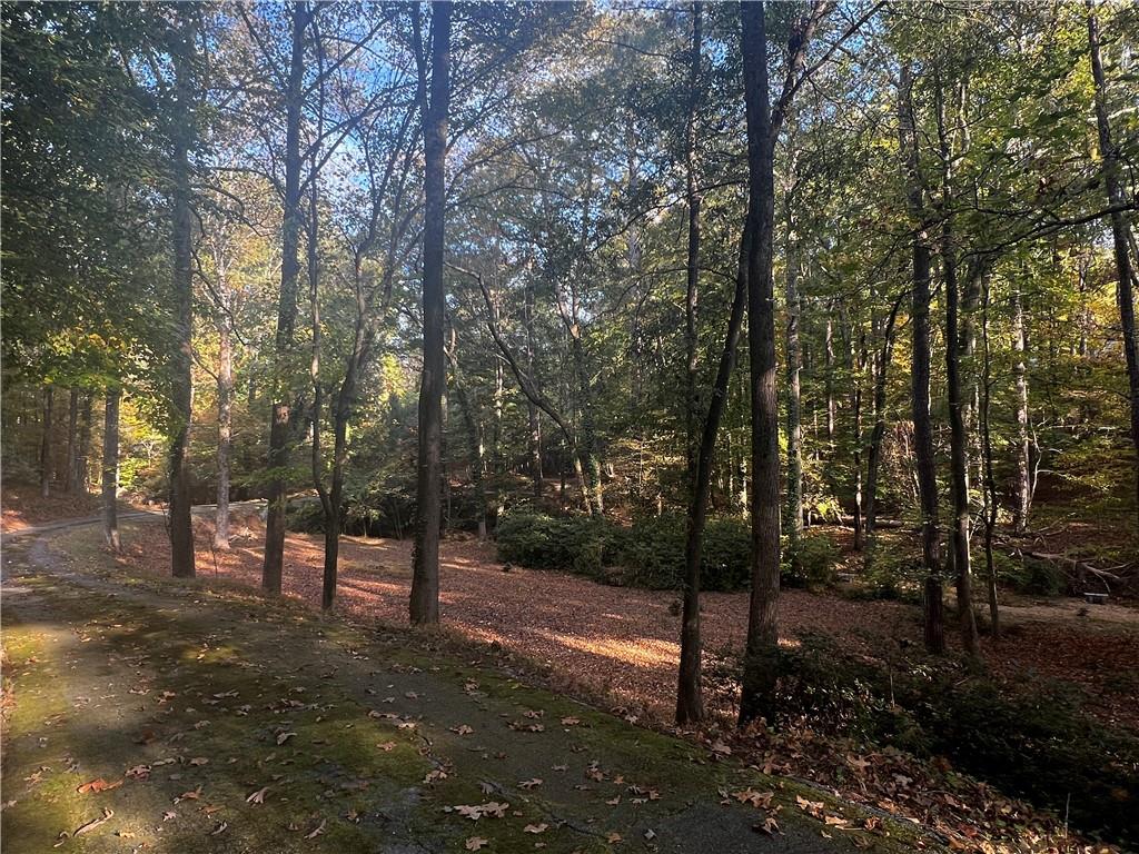 a view of outdoor space with lots of trees