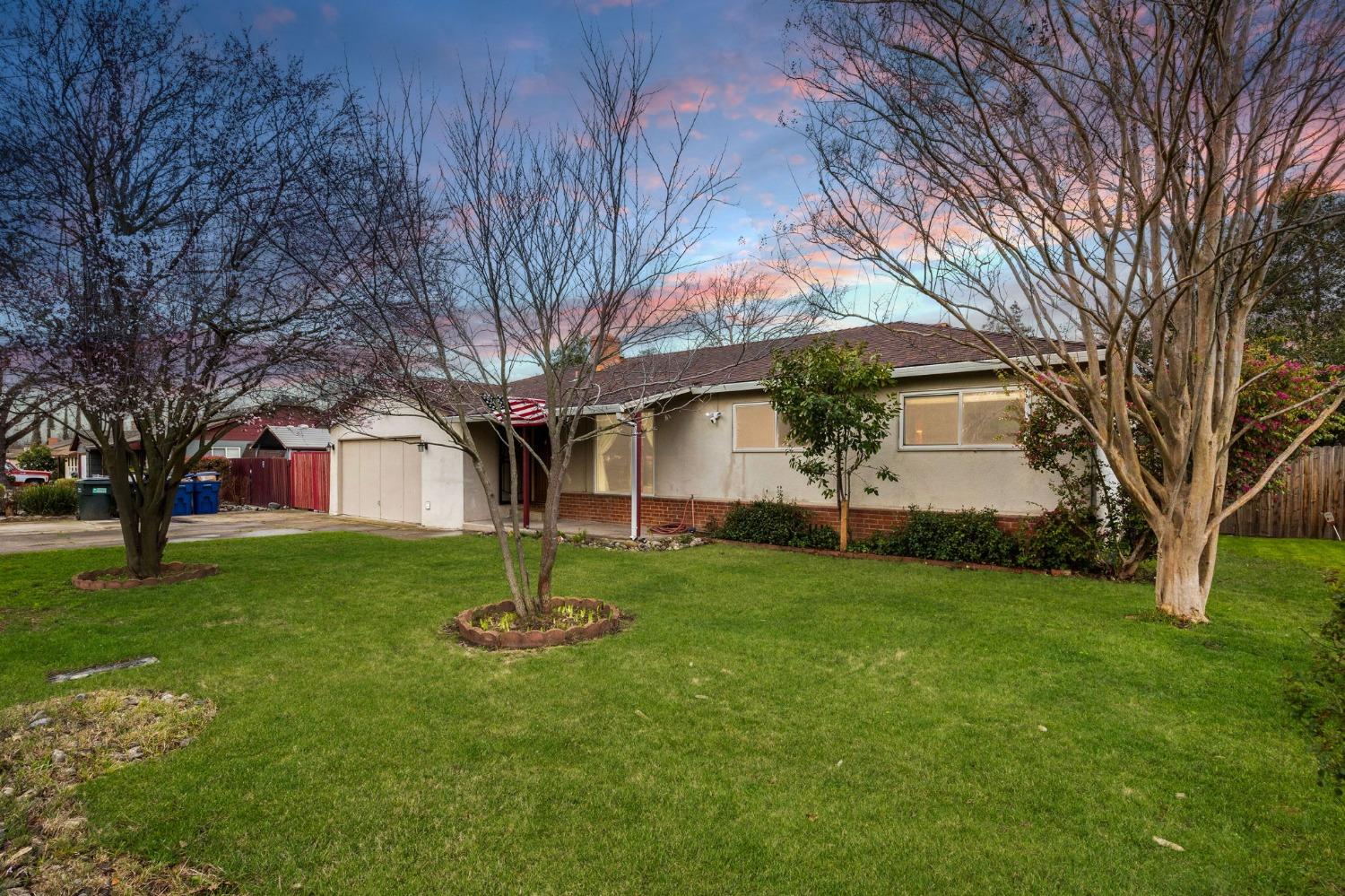 a backyard of a house with plants and large tree