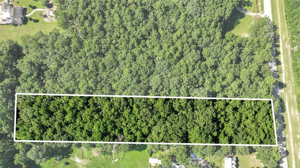 a view of a forest from a window